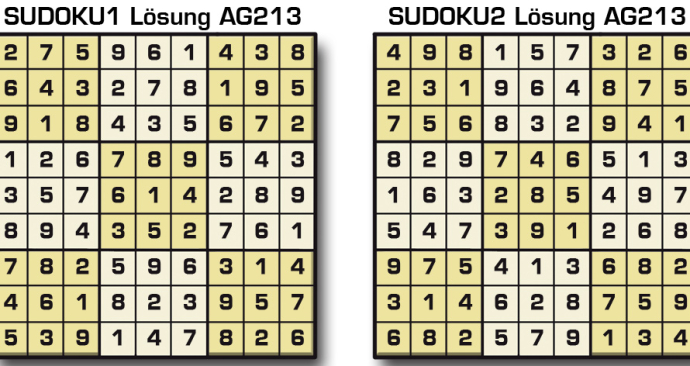 Sudoku Lösung AG 213