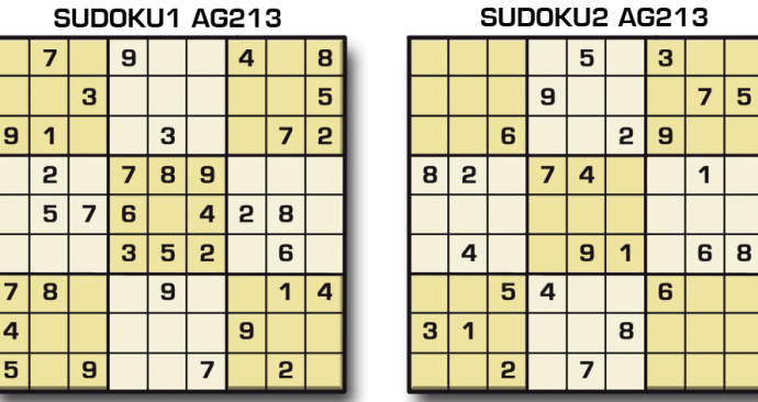 Sudoku AG 213