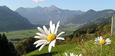 Luft-Messwerte Tirol